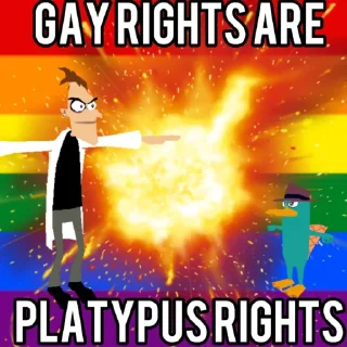 🏳‍🌈
