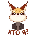 ❓