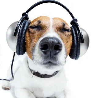 🎧
