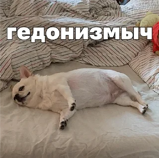 ☮️
