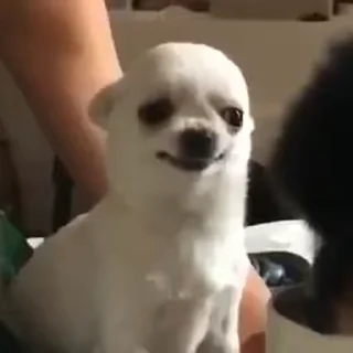 😁
