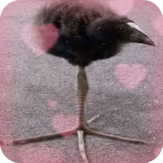 ❤