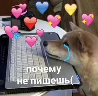 😭