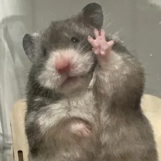 🤗