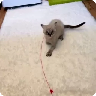 😡