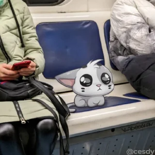 🚍