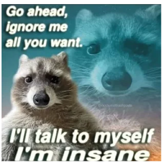 🚩
