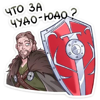 🛡