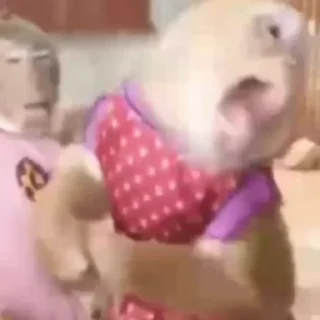 🌟