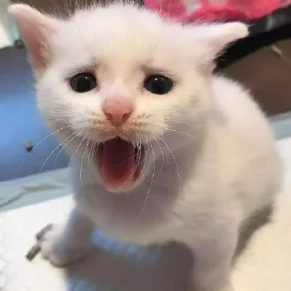 🤯