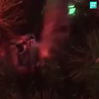🌟