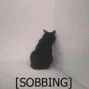 😞