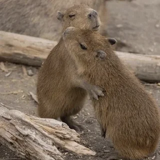 ❤️