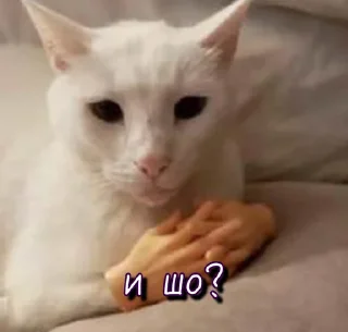 🤔