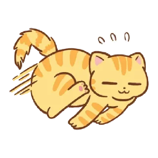 🐱