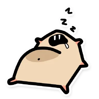 😴