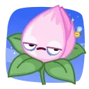 🌷