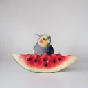 😜