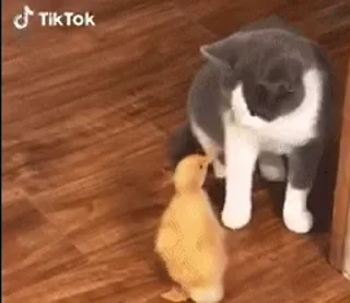 👊