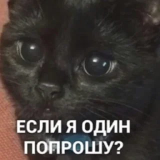 🥲