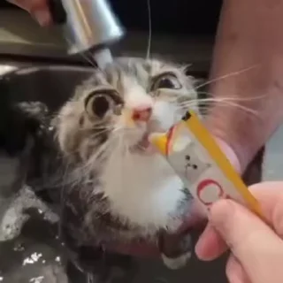🛁