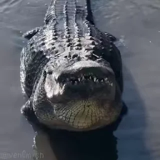☺️
