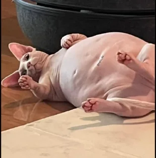 😔