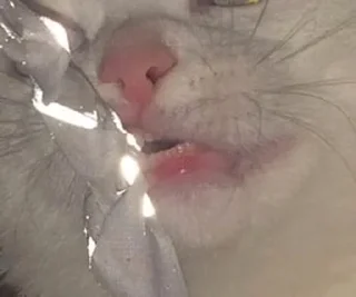 💞