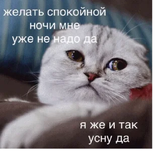 😔