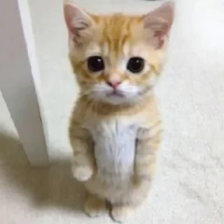 😀