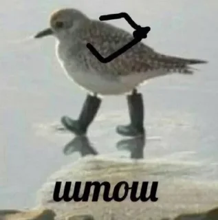 😊