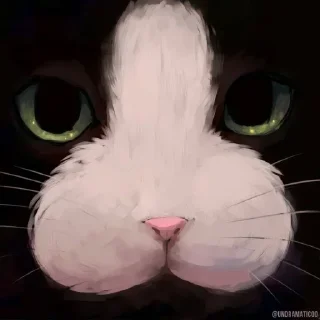 🌟