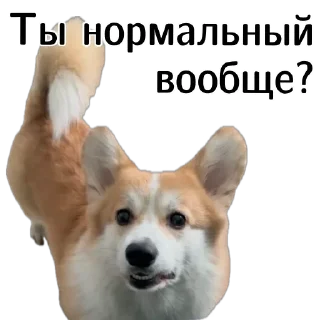 😳
