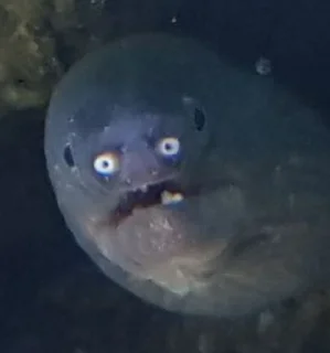 😳