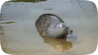 💦