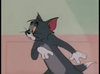 🙀