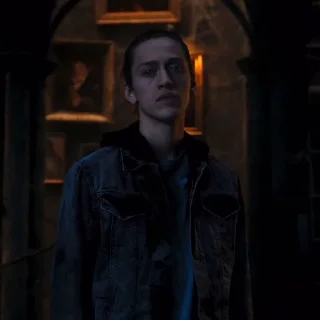 🕷️