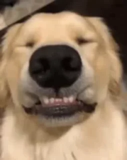 😊