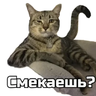 😉