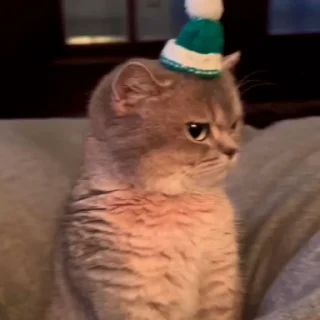 😒