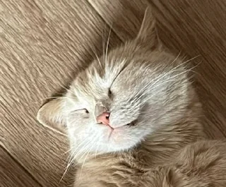 ☺️
