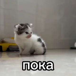 👋