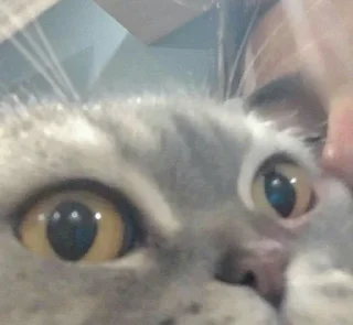 😵