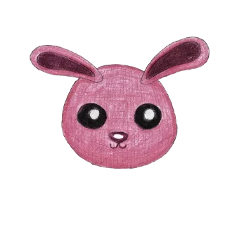 🐰