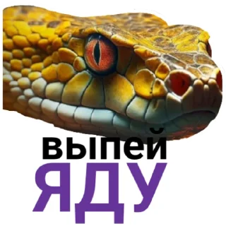 🐍