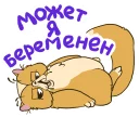 Lazycat @stickersb2b