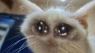 🥺