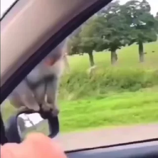 🫨