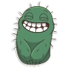 Cactus Cozy