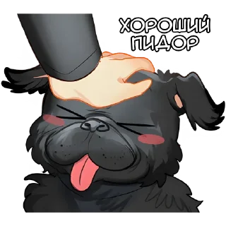 🐶